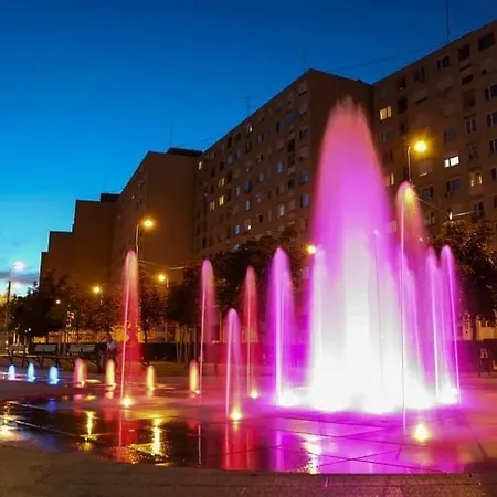 Toparti Kucko *