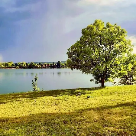 Toparti Kucko