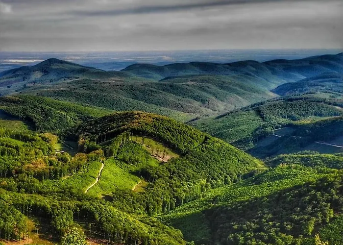 Toparti Kucko Holiday home *