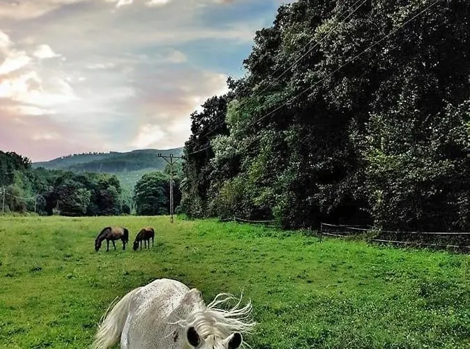 Toparti Kucko Holiday home