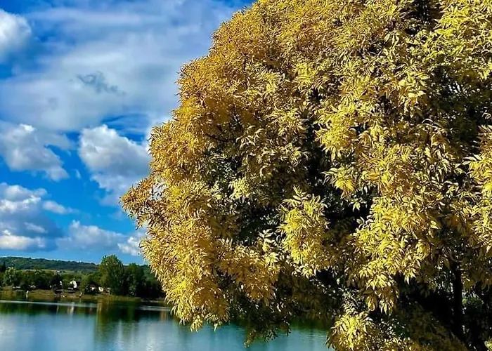 Toparti Kucko Malyi