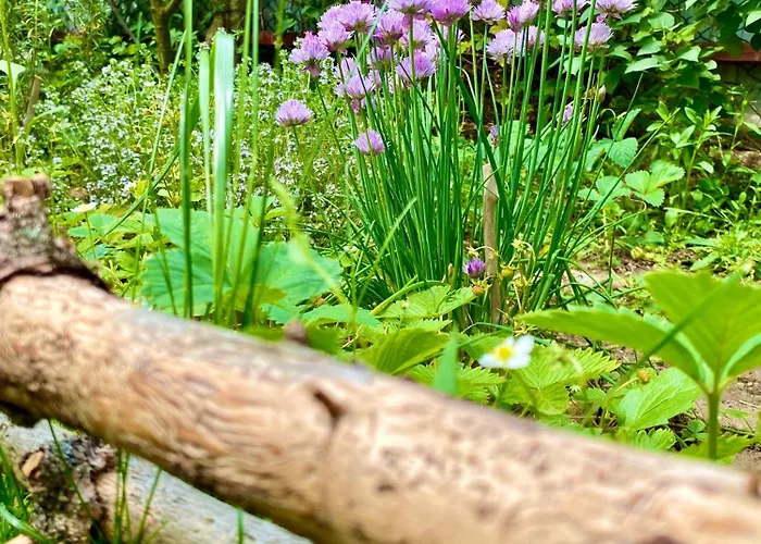 Holiday home Toparti Kucko Malyi